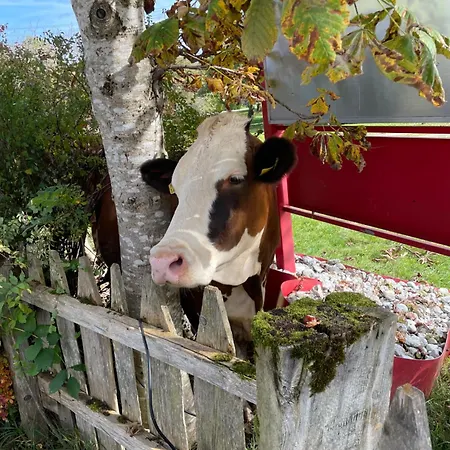 Abenteuerhof アパート *