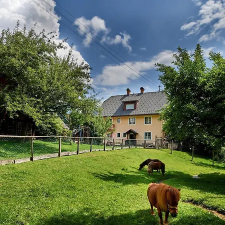 Abenteuerhof Weißenbach