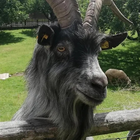 アパート Abenteuerhof