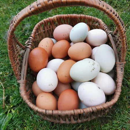 Abenteuerhof * Weißenbach