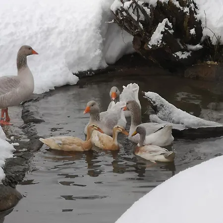 アパート Abenteuerhof *