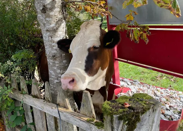 Abenteuerhof Apartment *