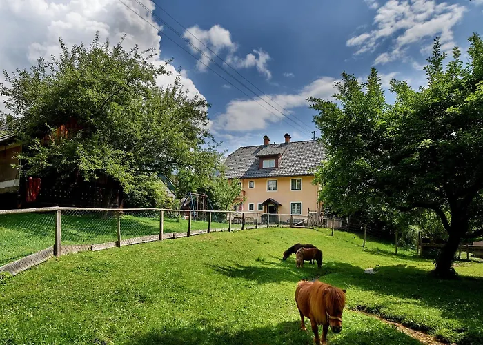 Abenteuerhof Haus im Ennstal