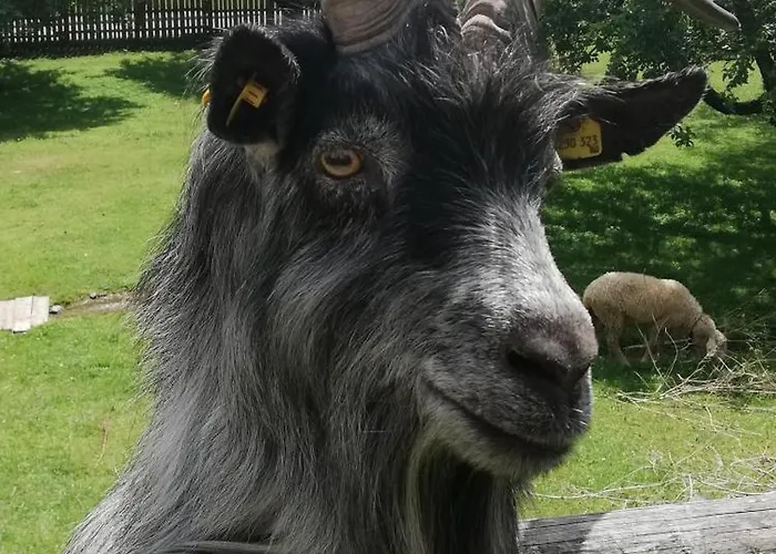 Apartment Abenteuerhof