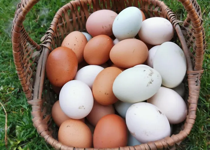 Abenteuerhof * Weißenbach